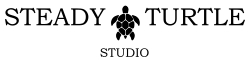 Steady Turtle Studio Logo